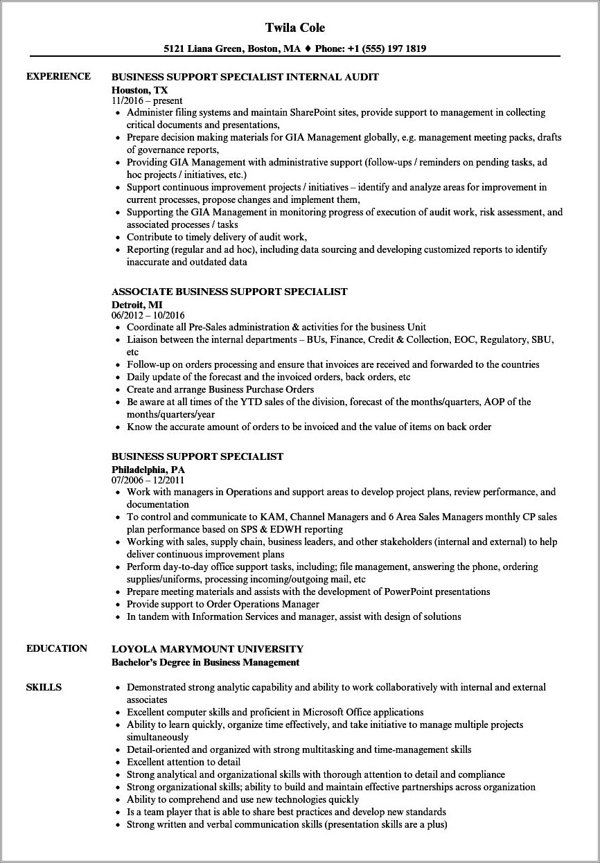 Summary For Resume Examples Support Specialist