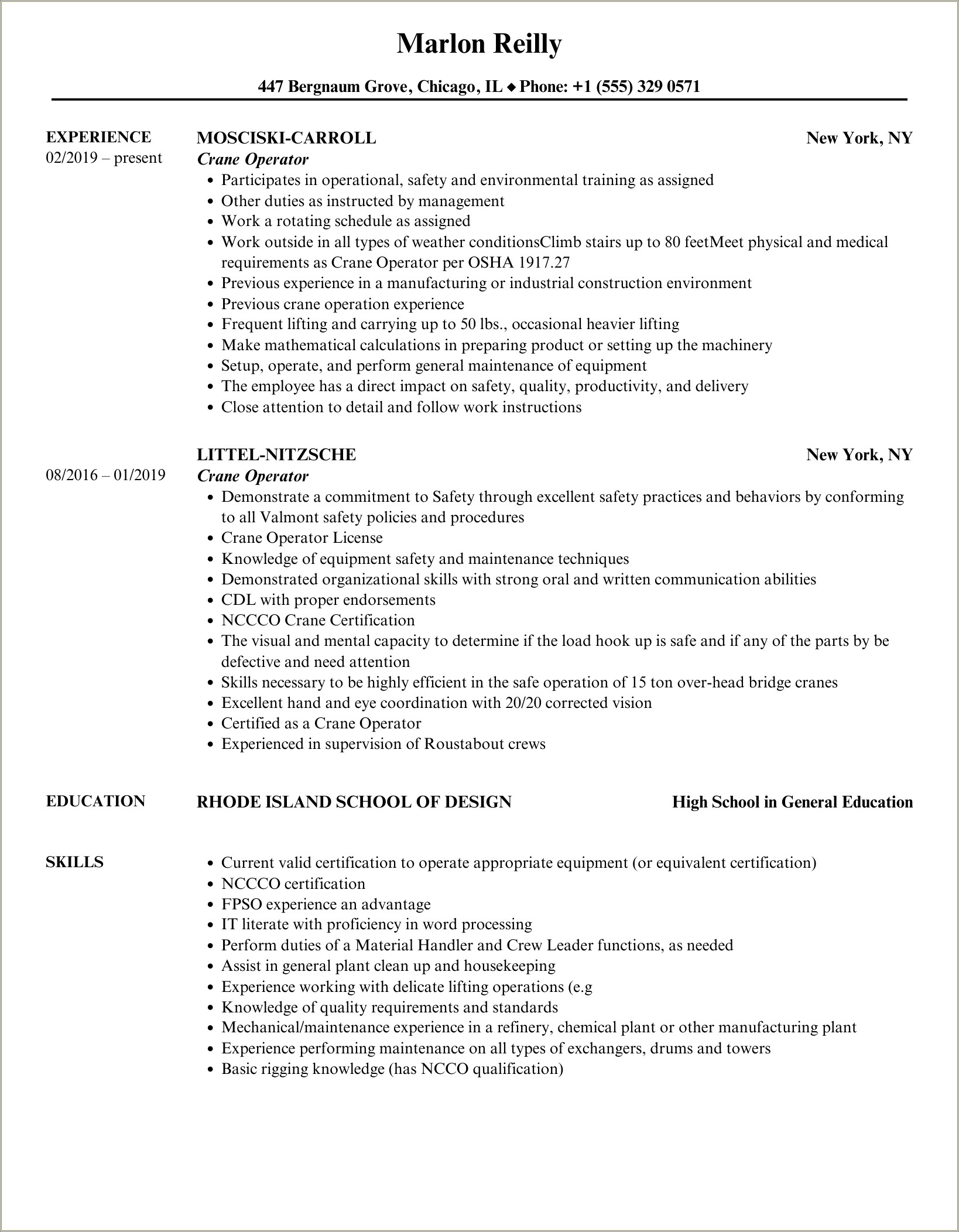 Summary For Resume For Running Cranes