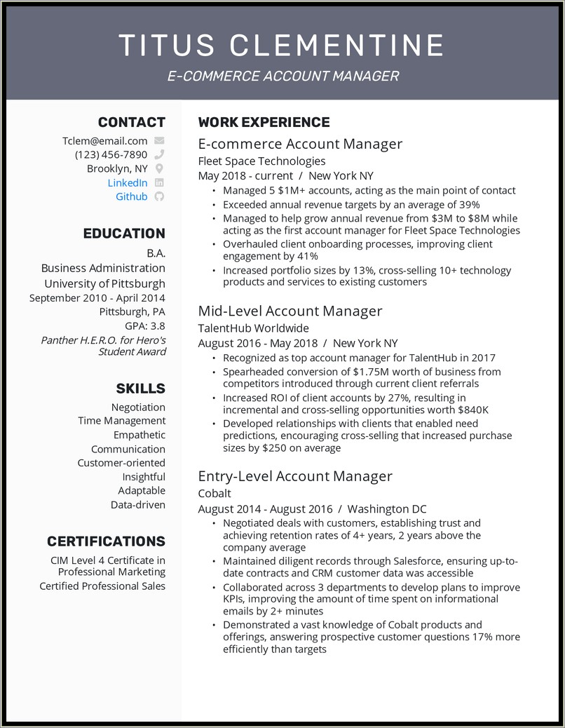 Summary For Resume Sales Account Manager Example