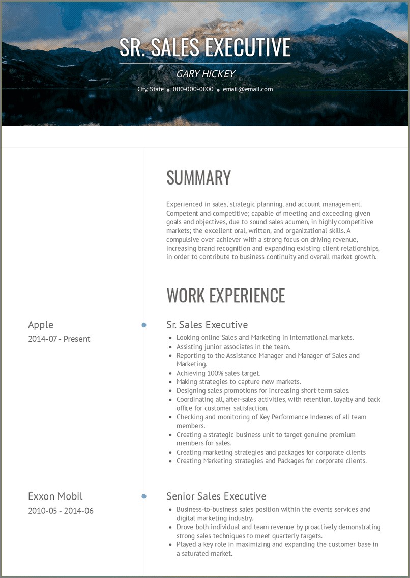 Summary For Resume Senior Sales Executive