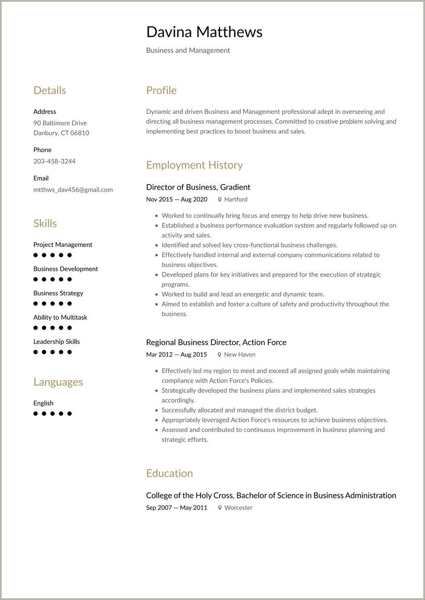 Summary For Resume Student Business Management