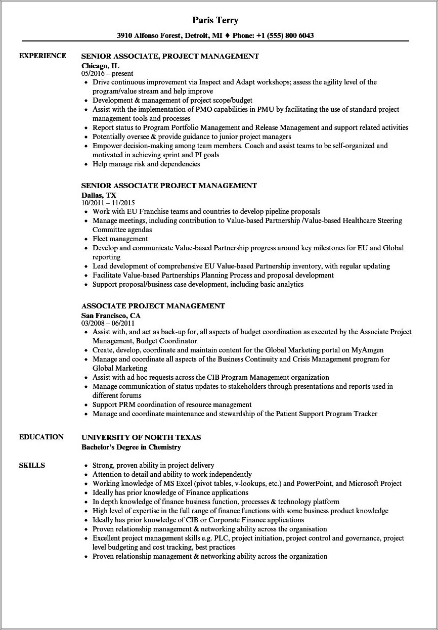 Summary For The Experienced Project Management Resume