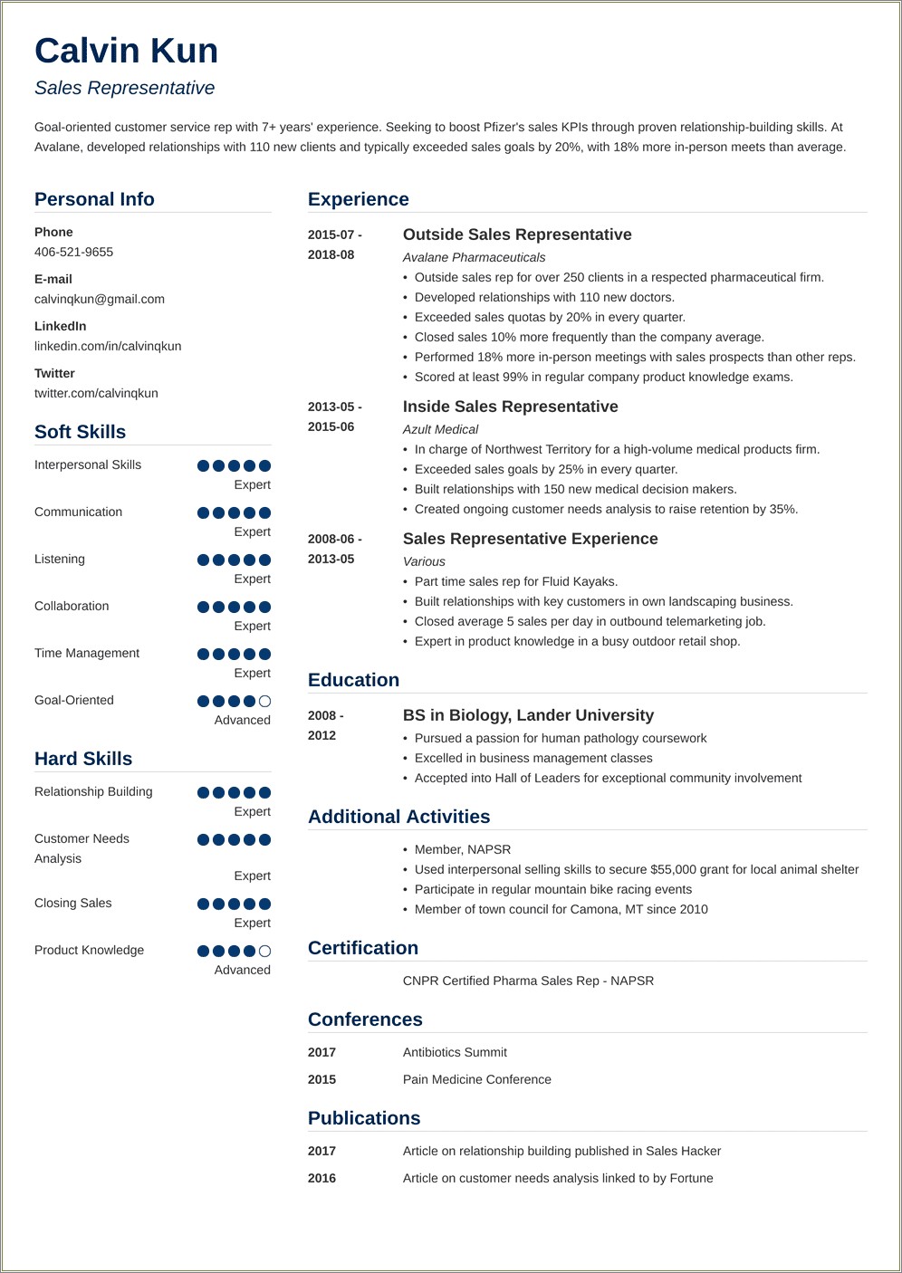 Summary For Travel Sales Rep Resume