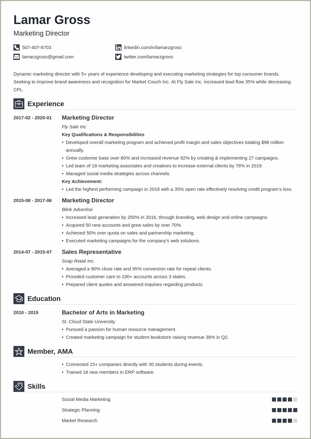 Summary Marketing Director Examples For Resume