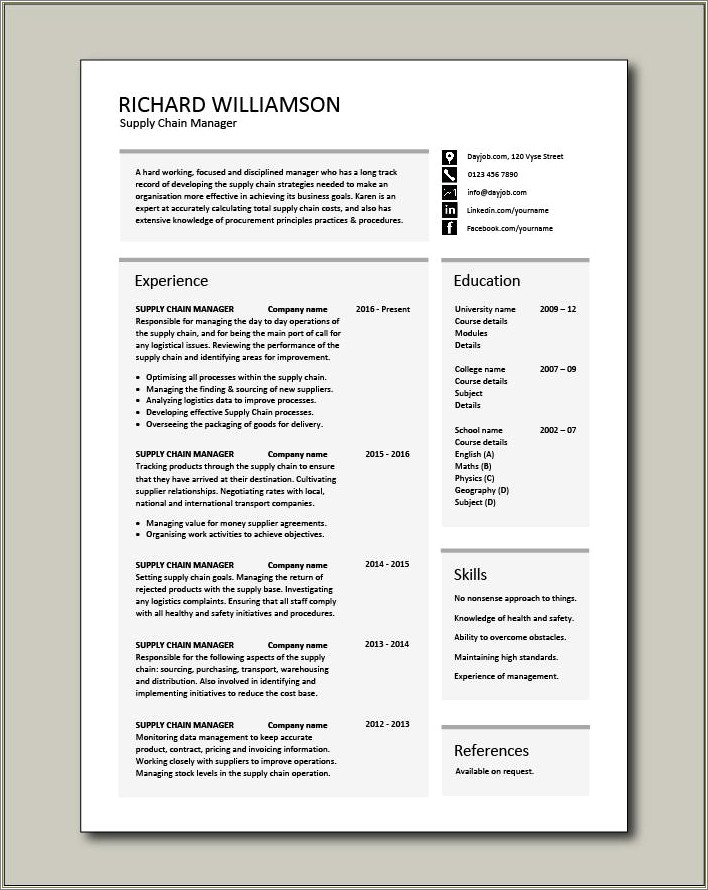 Summary Of Experience Resum For Supply Management