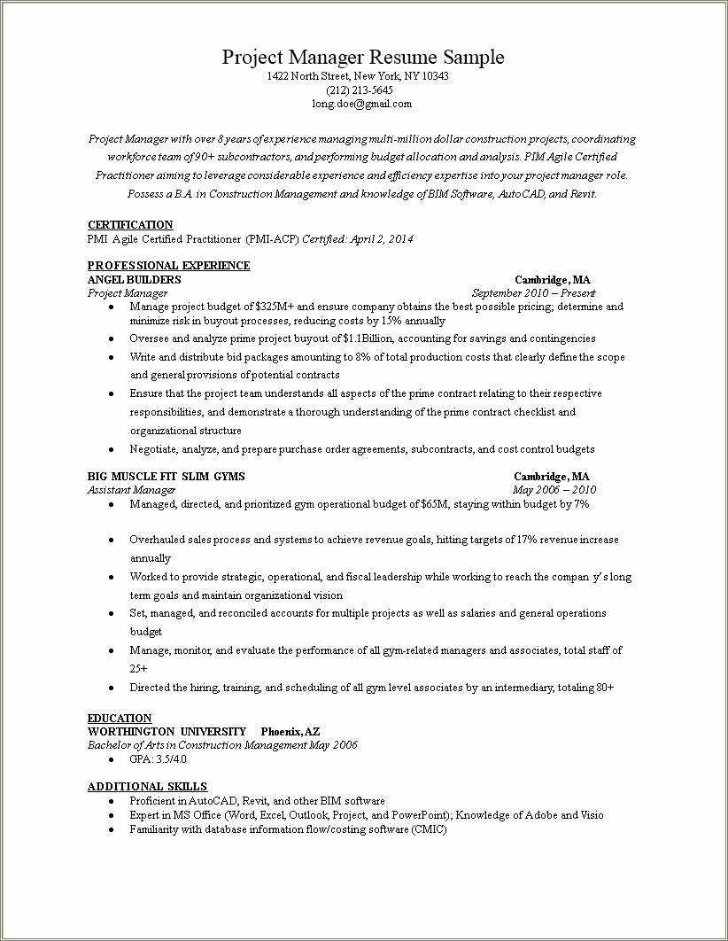 Summary Of Skills Resume Program Manager