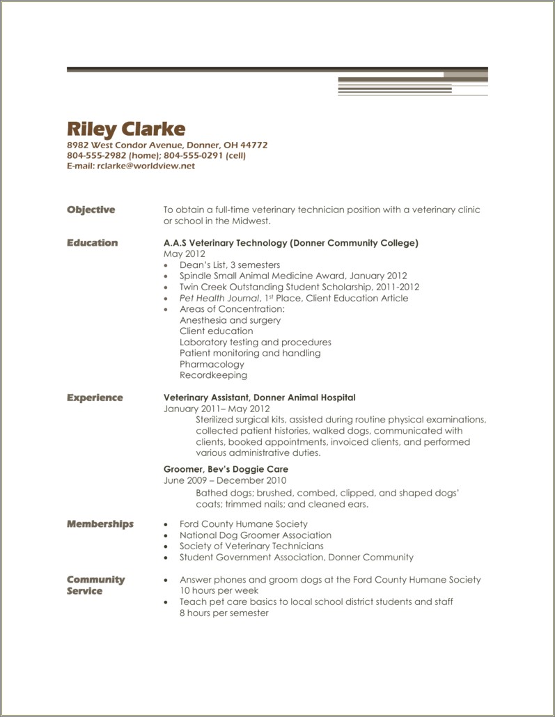 Summary Of Small Animal Vet Tech For Resume