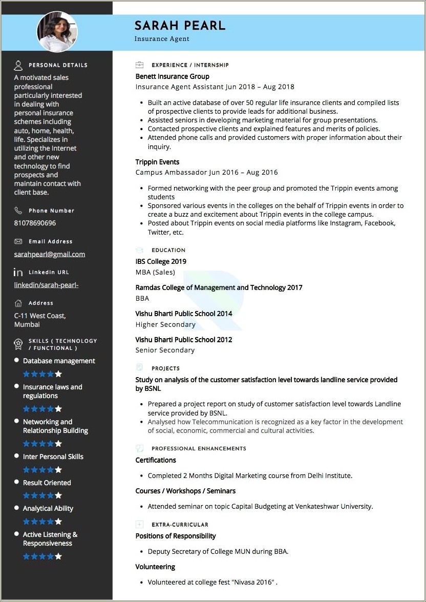 Summary On Resume For Insurance Producer