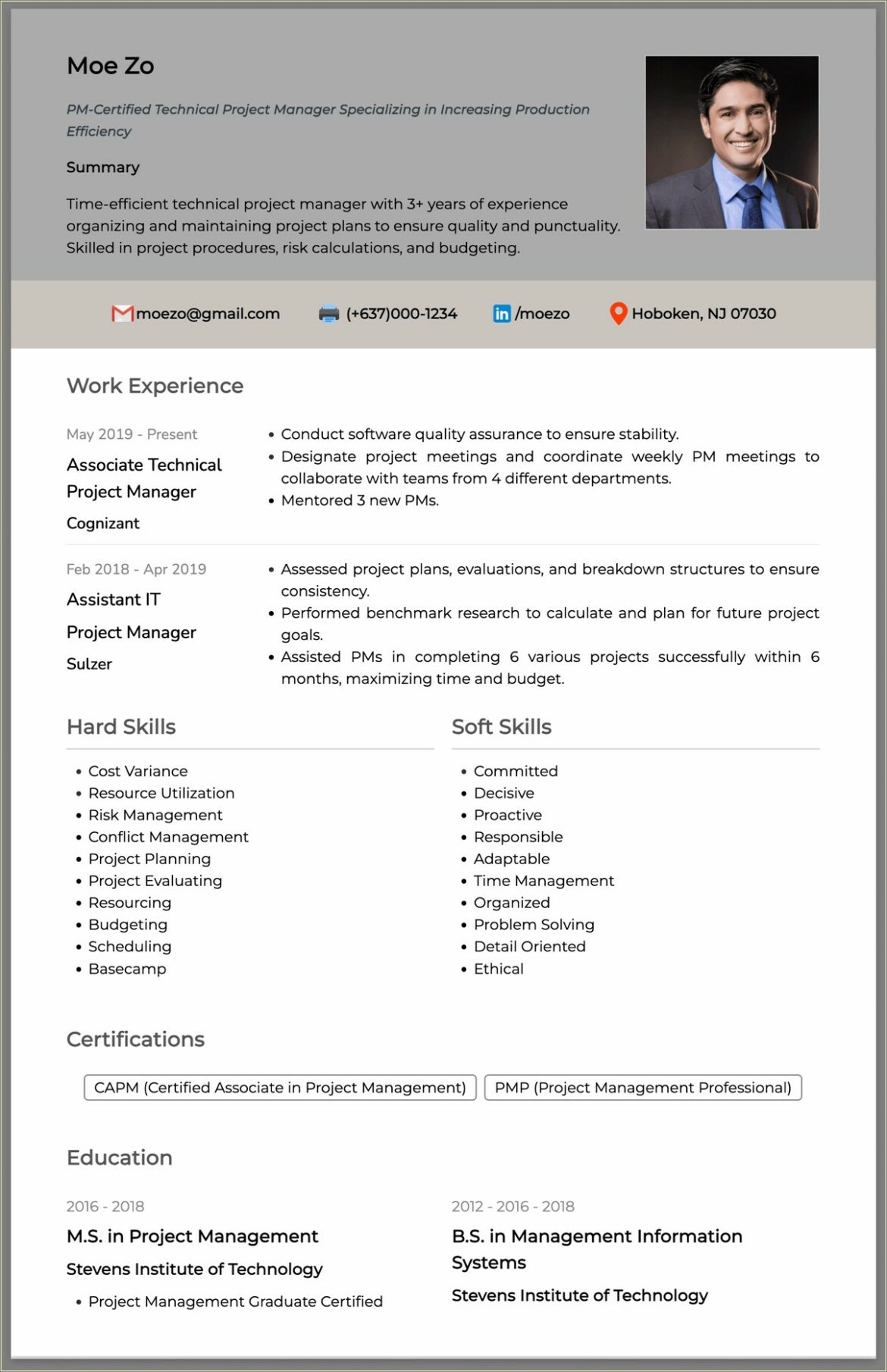 Summary Statement For Capm On Resume