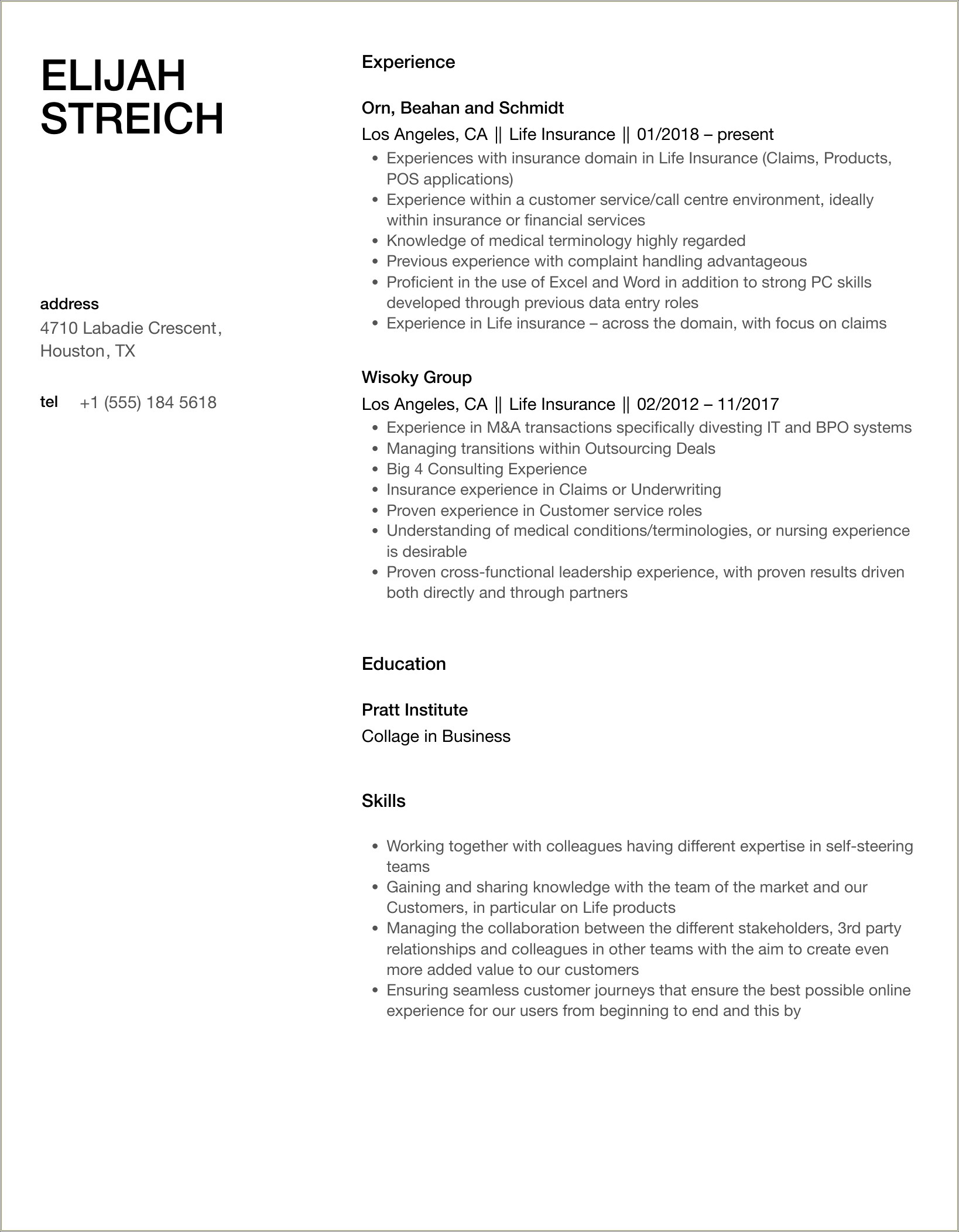 Target Resume For Insurance Company Template