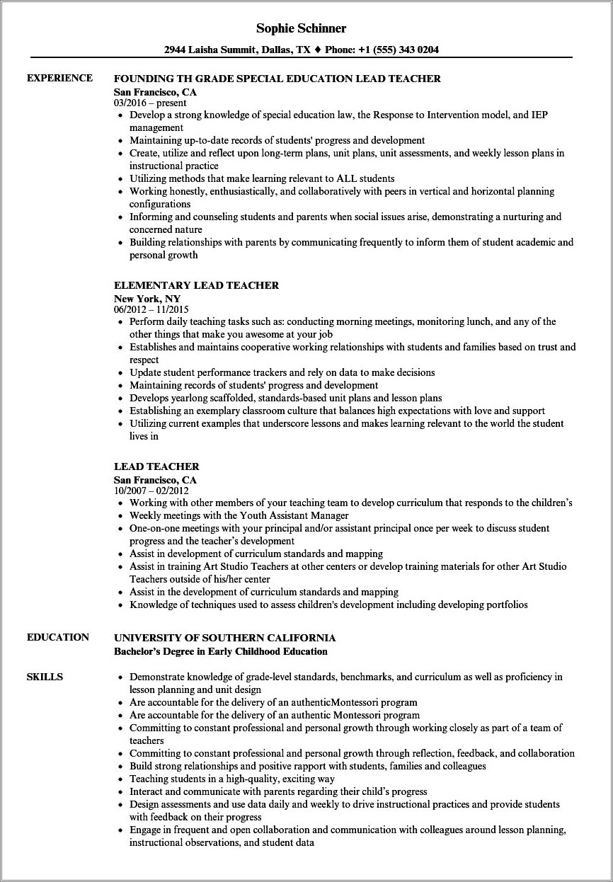 Teaching Resume With Team Lead Experience