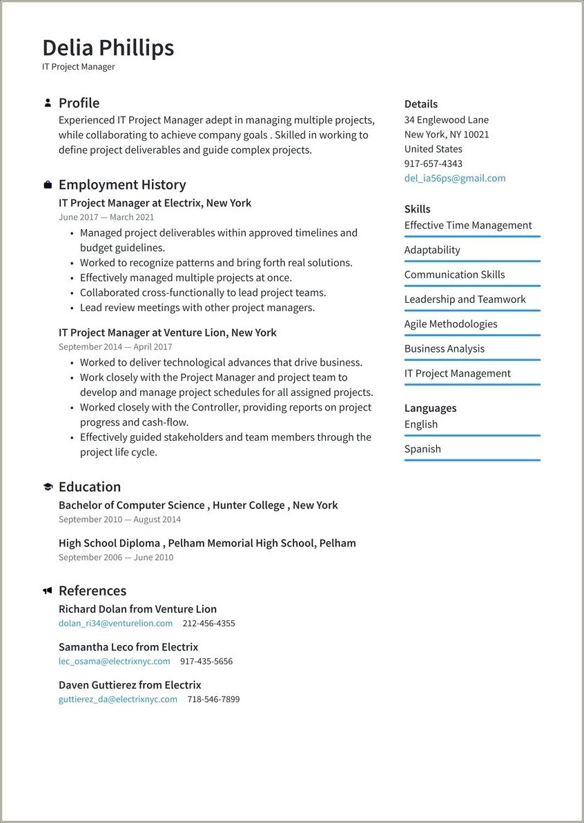 Technical Skills In Resume For Technical Project Managers