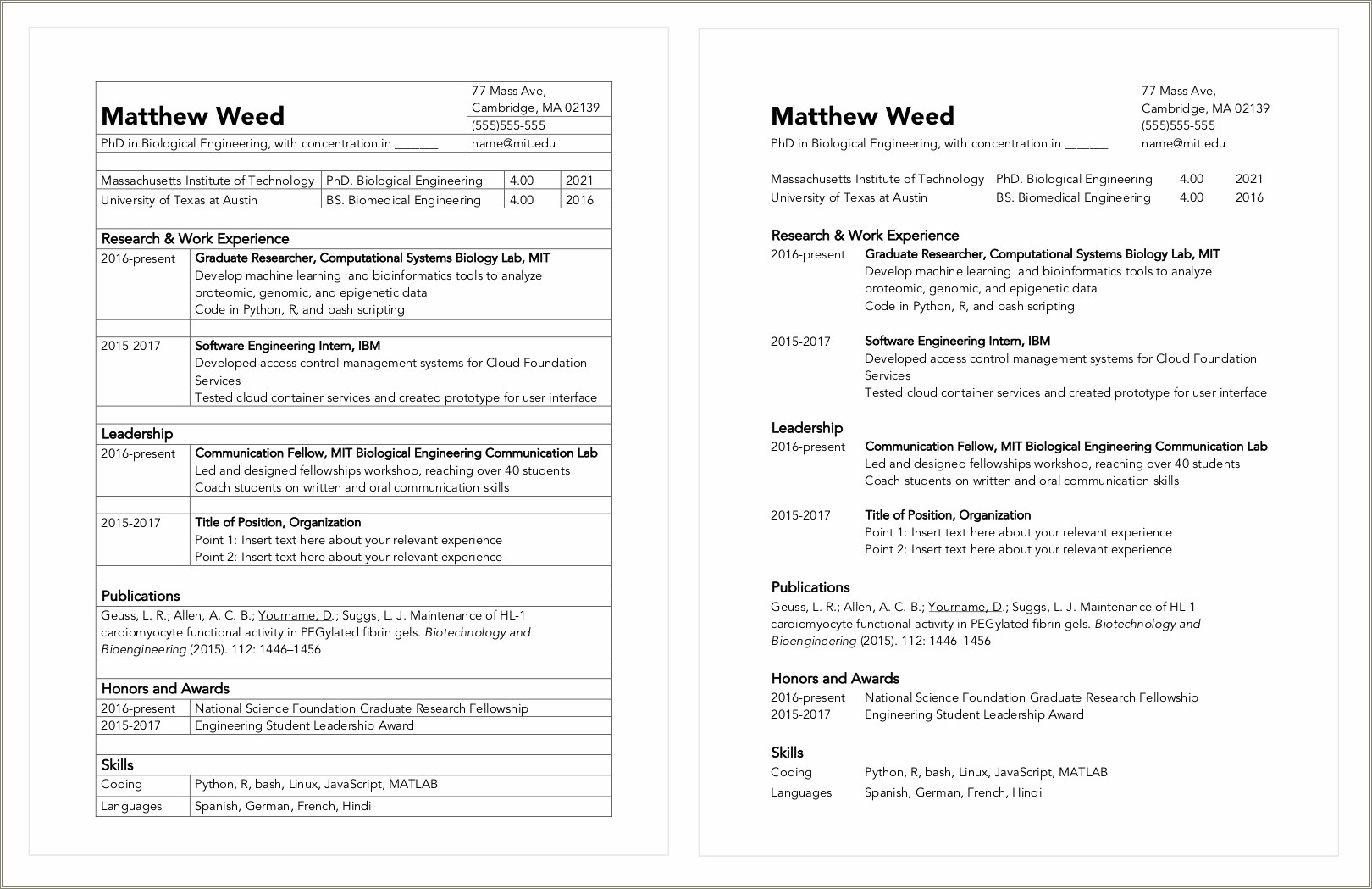 Template De Resume En Word 2016