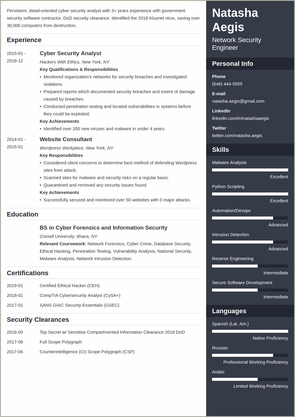 The Best Cyber Security Resume For Beginners