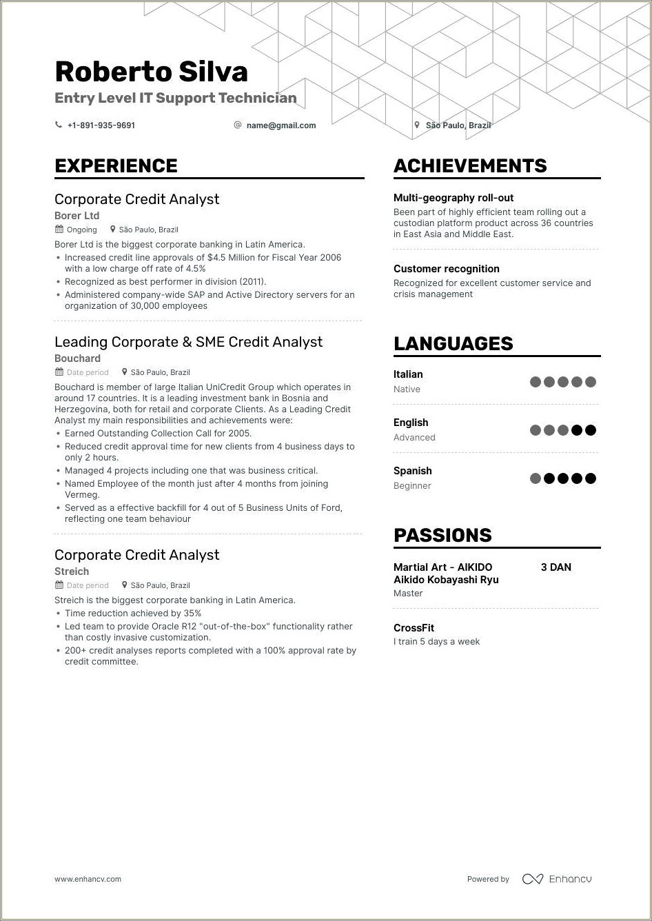 The Best Entry Level It Resume