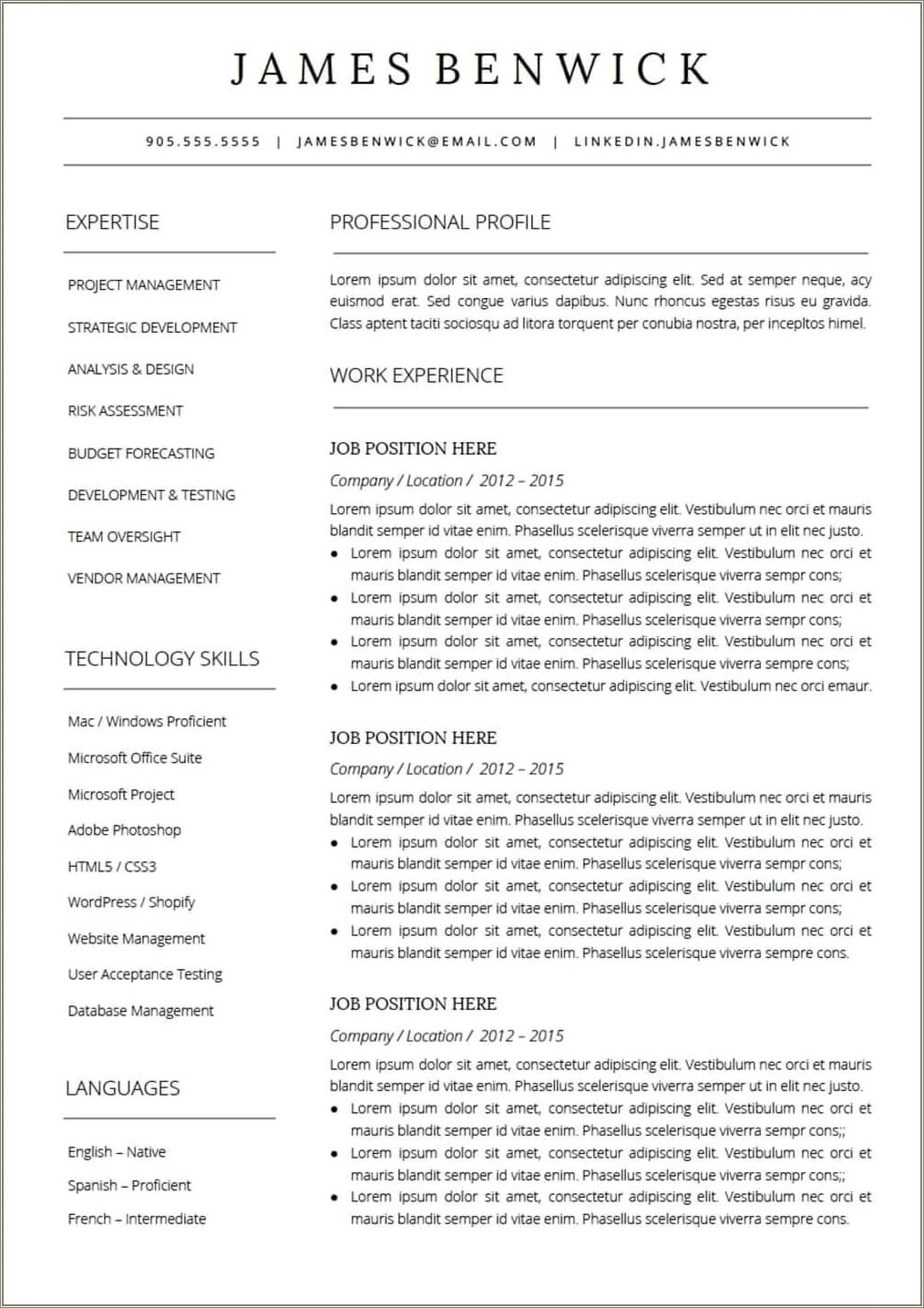 The Most Basic Resume Template Google Docs