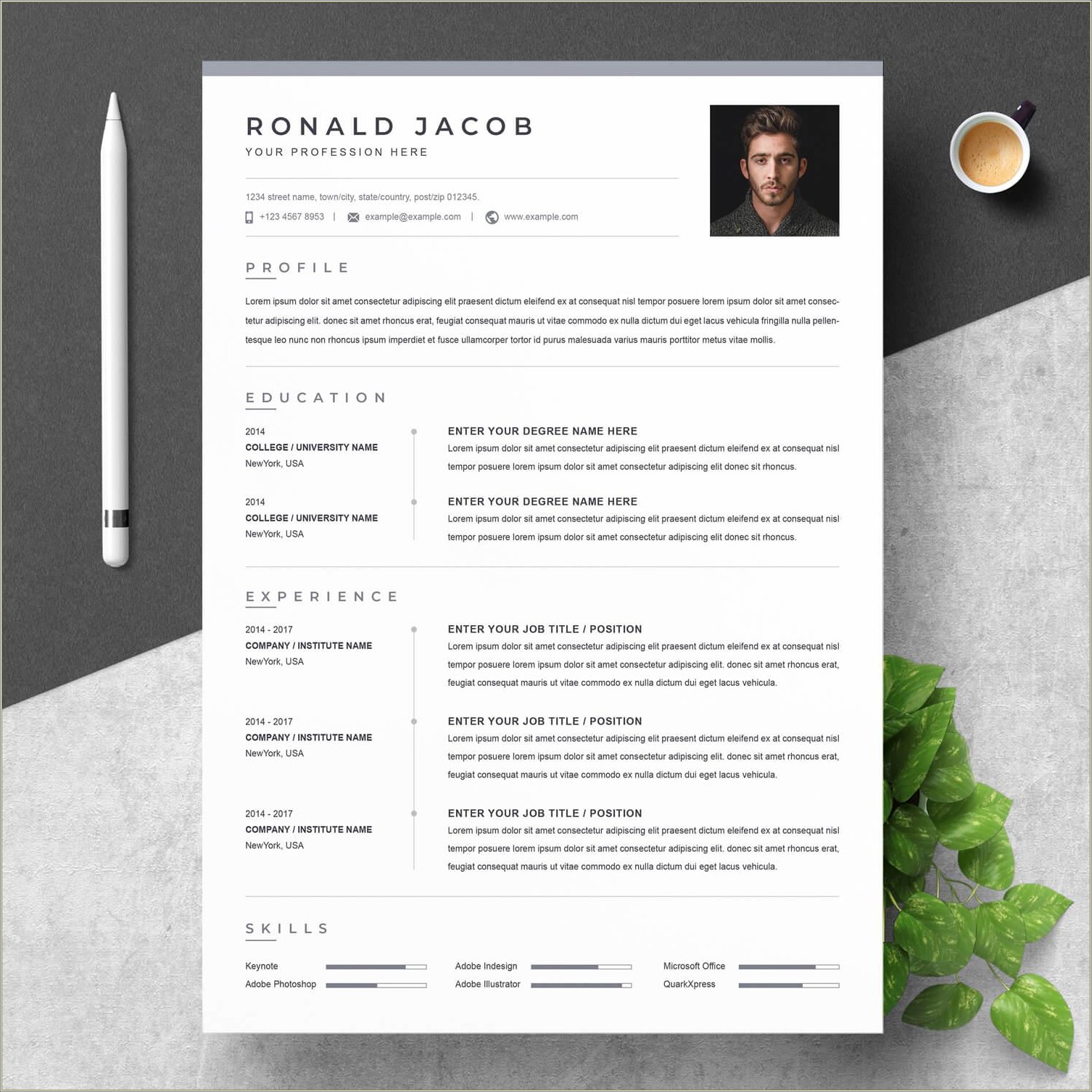 Top Resume Templates 2017 Free Download