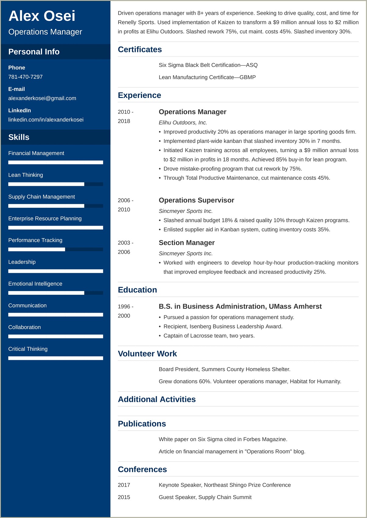 Top Ten Resumes For Business Operations Managers