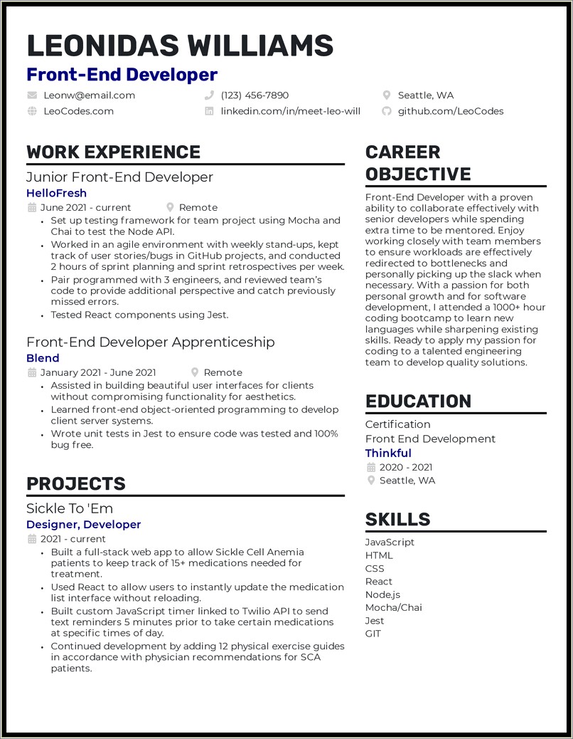 Ui Developer Lead Job Description In Resume