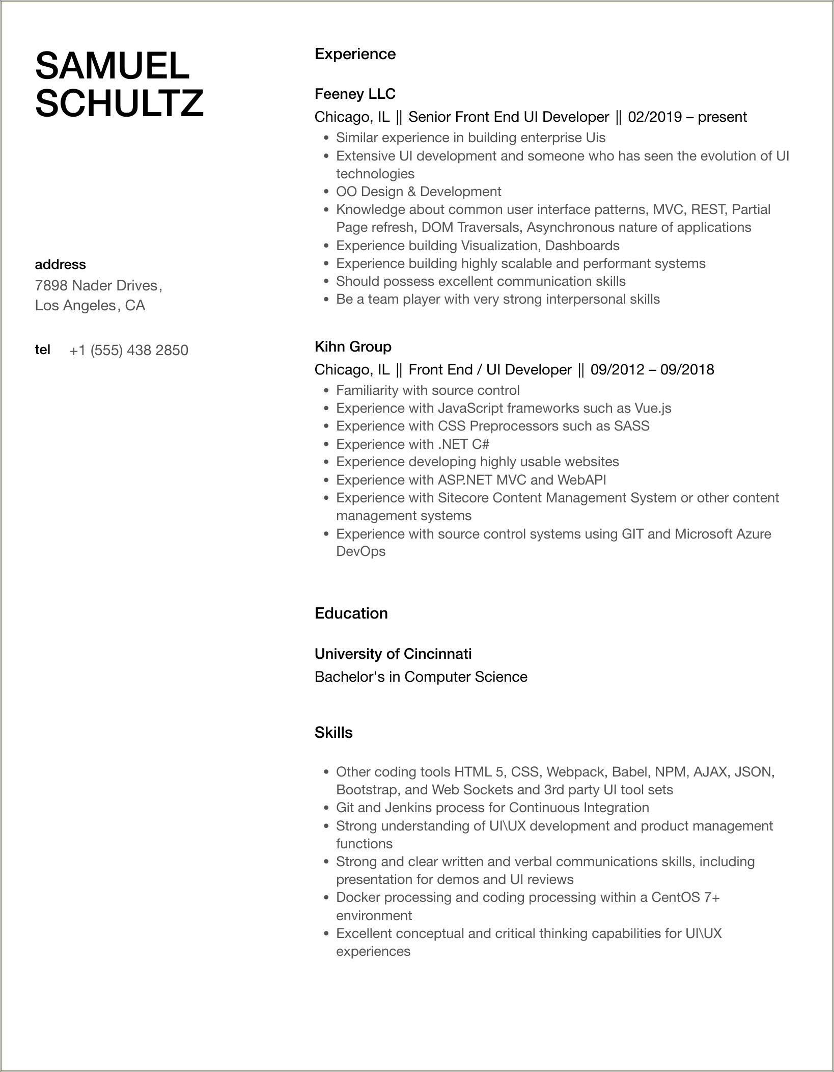 Ui Developer Resume 8 Years Experience