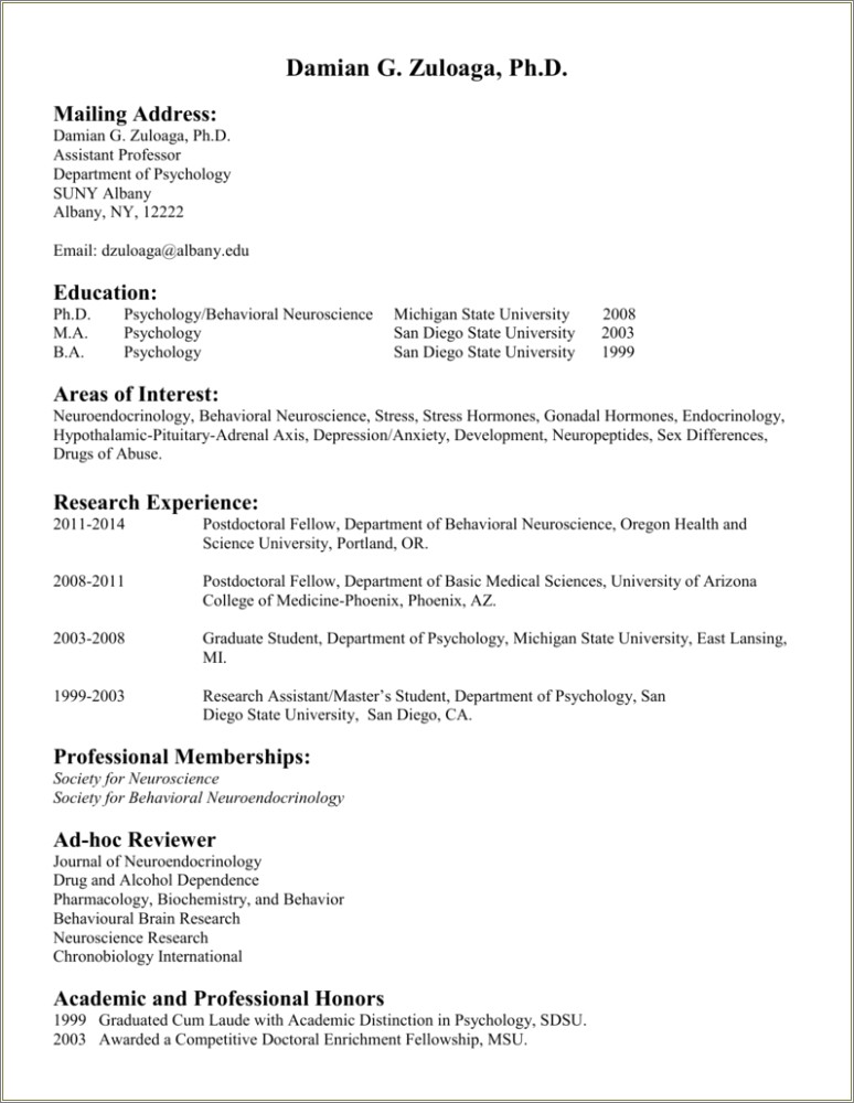 University At Albany Resume Samples Rockefeller Center Pdf