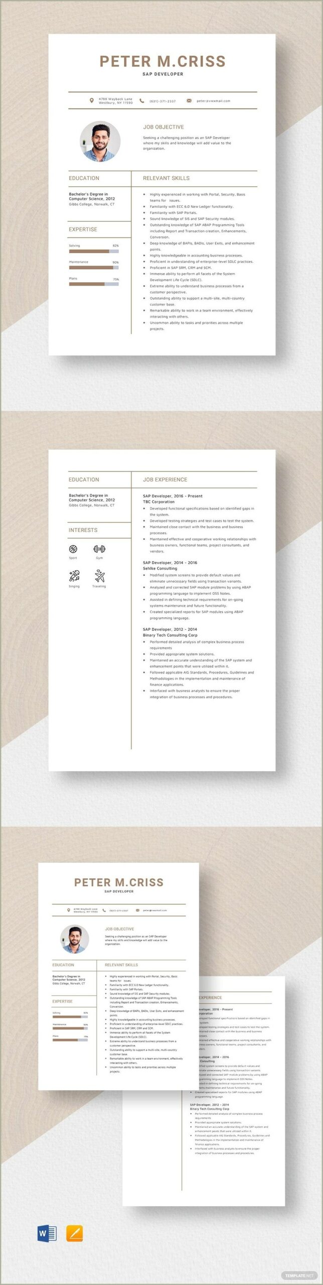 User Exit Hands On Experience Resume Sap