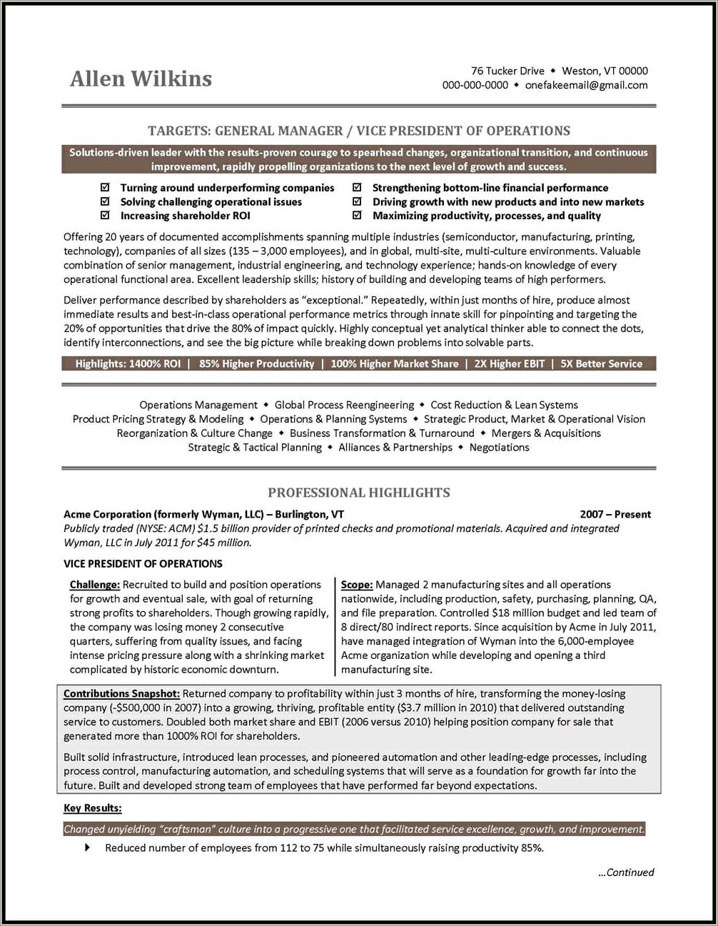 Vice President Of Finance Resume Examples