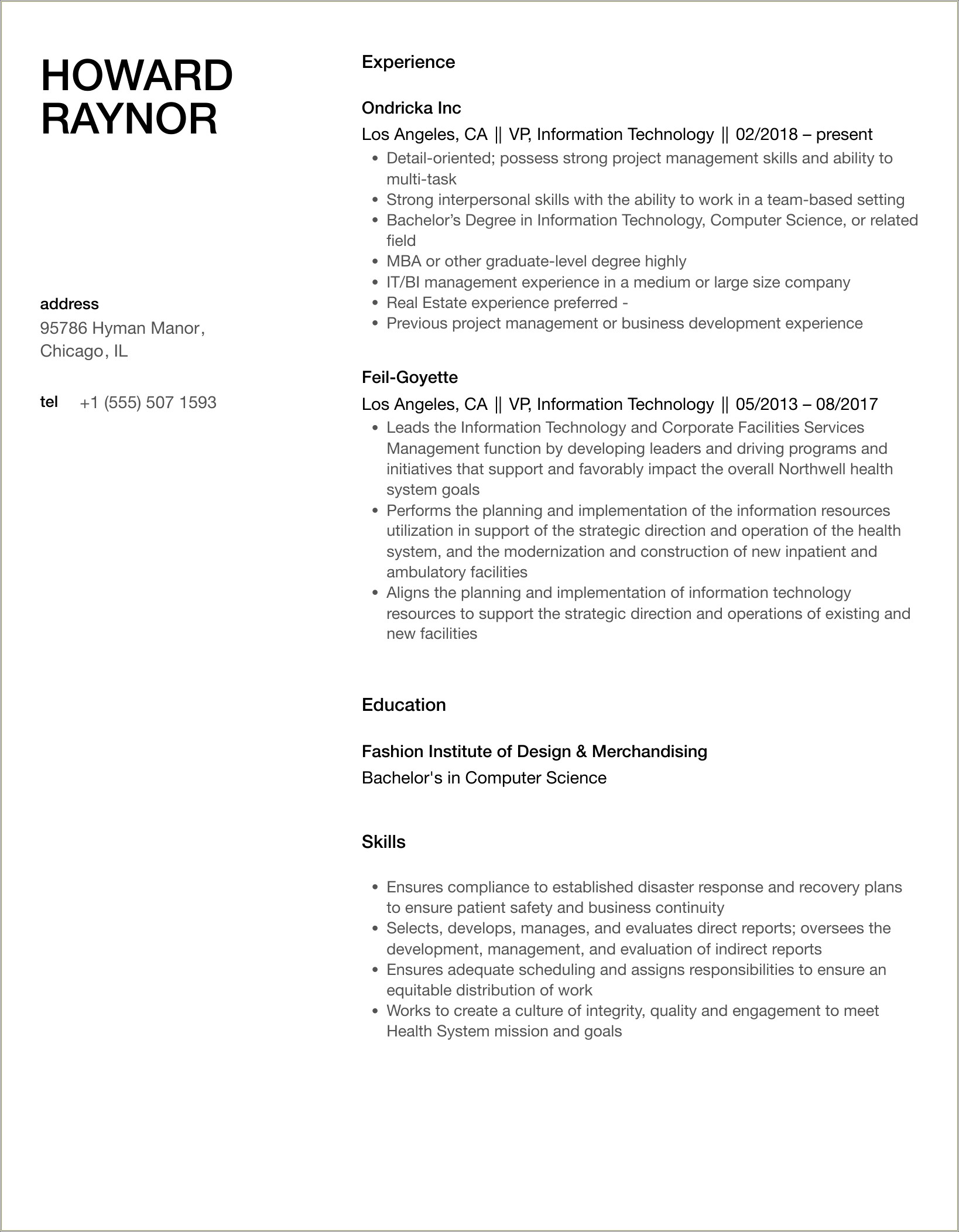 Vice President Of Information Technology Resume Samples