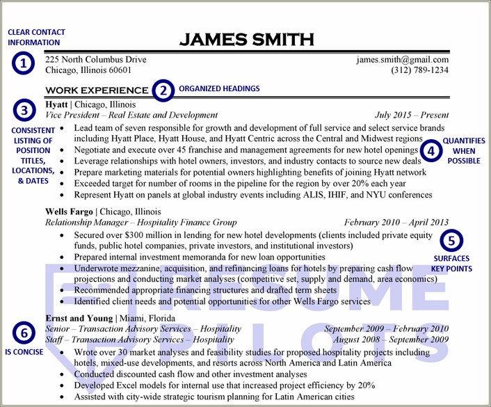 Vice President Of It Resume Examples