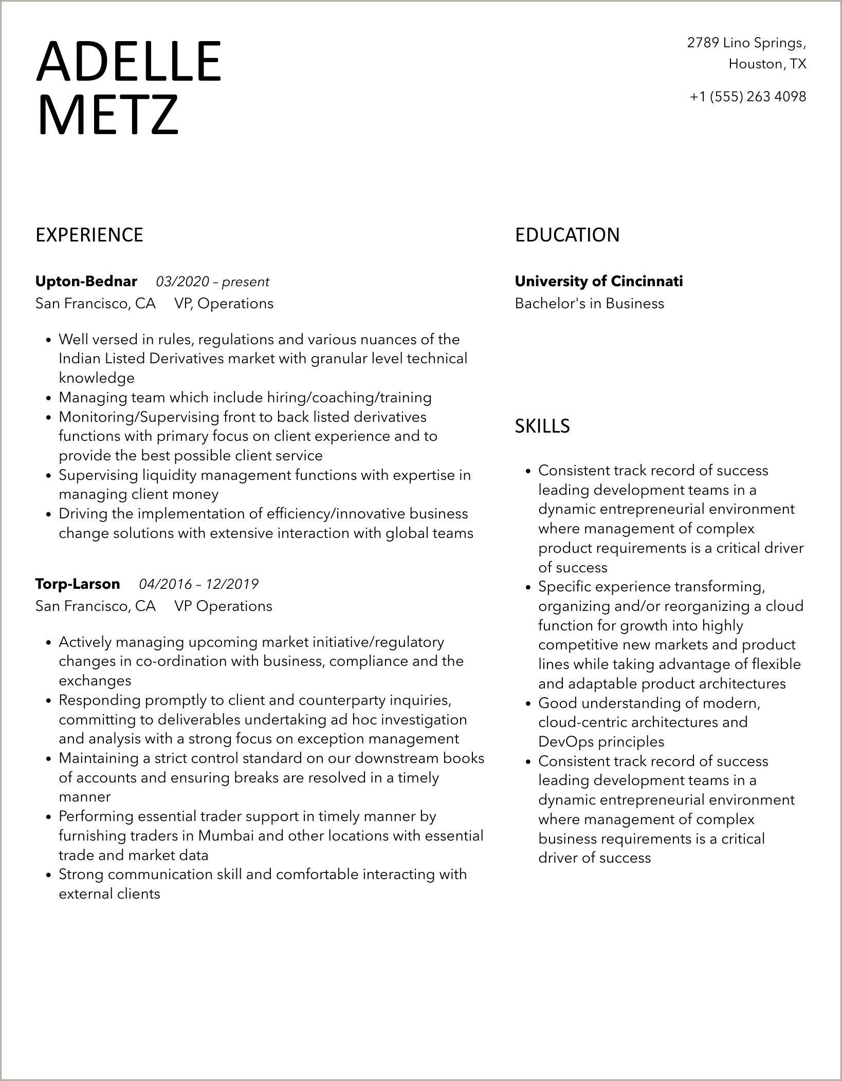 Vice President Of Operations Resume Samples