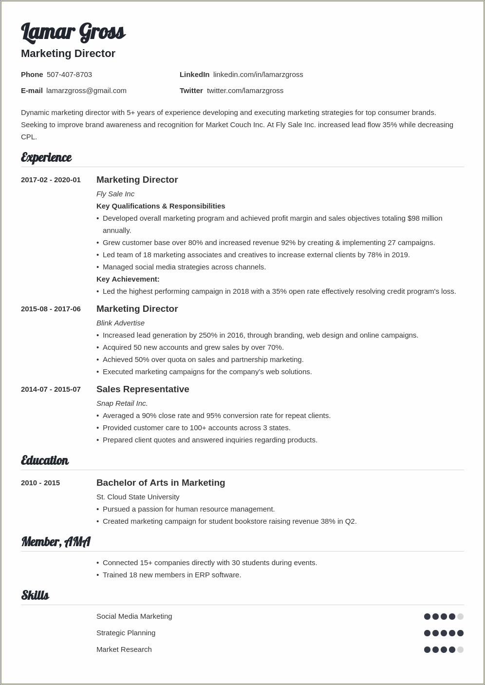 Vice President Of Sales And Marketing Resume Sample