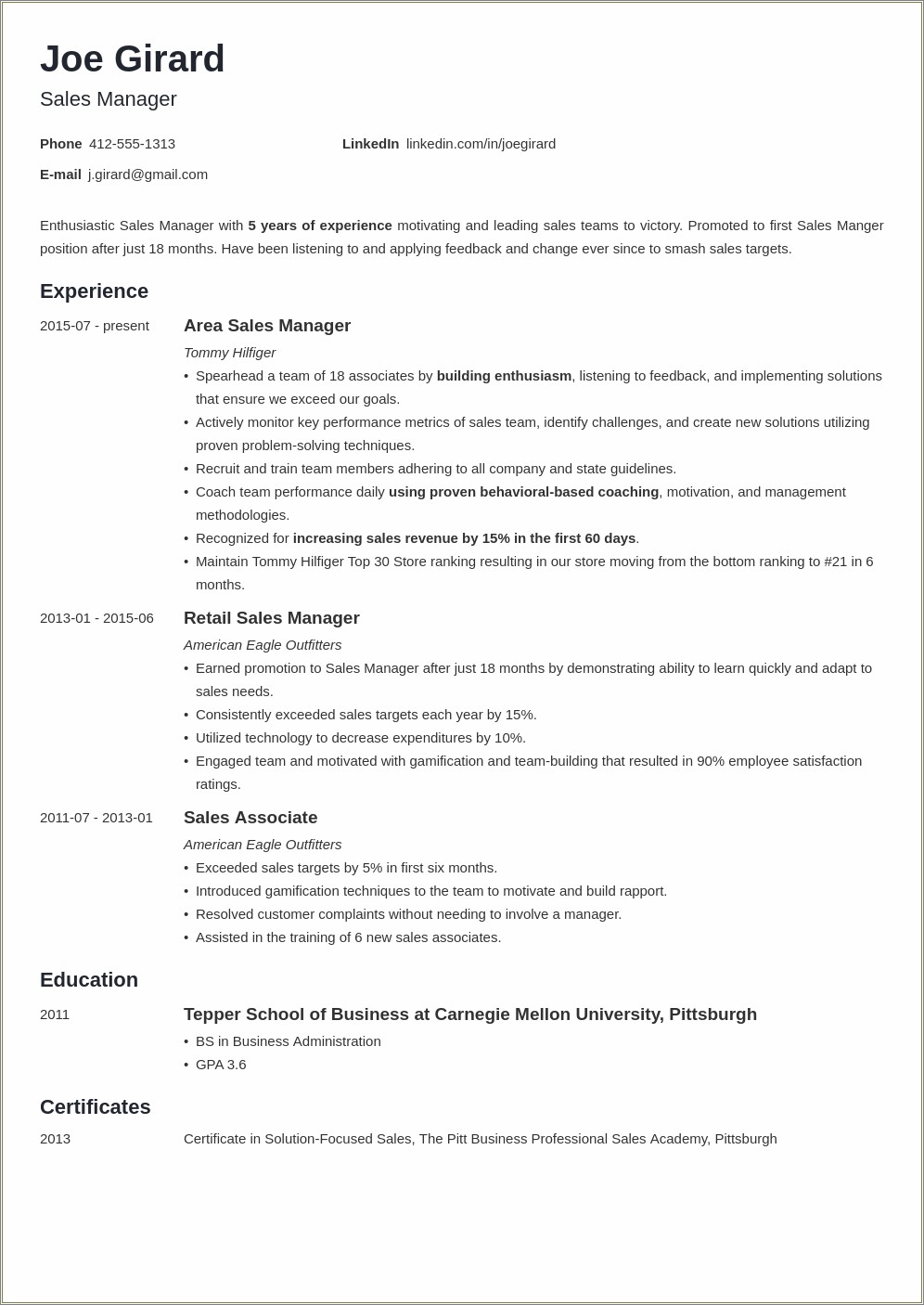 Vice President Of Sales Resume Description