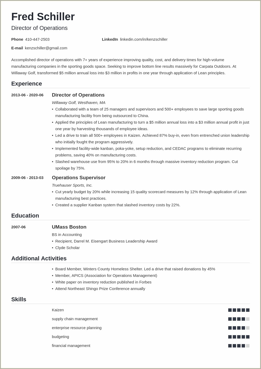 Vice President Of Sales Resume Examples