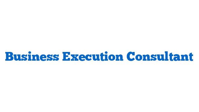 Business Execution Consultant