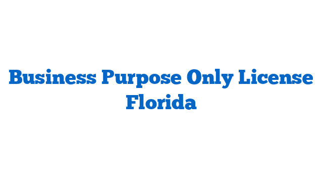 Business Purpose Only License Florida