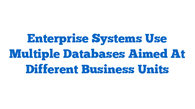 Enterprise Systems Use Multiple Databases Aimed At Different Business Units