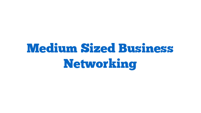 Medium Sized Business Networking