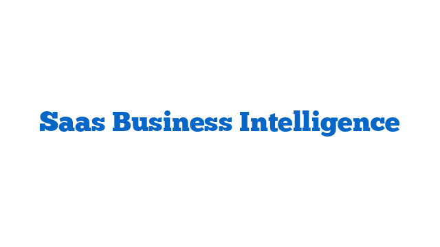 Saas Business Intelligence